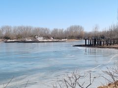 -东郊湿地公园