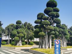 -海花岛旅游度假区