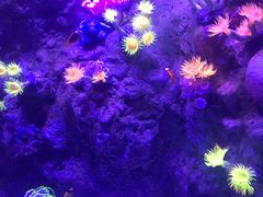 -成都浩海立方海洋公园