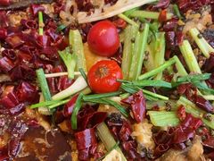 -老板恋上鱼(恒隆广场店)