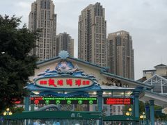 -海合安成都极地海洋公园