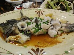 清蒸丁桂鱼-华信美食