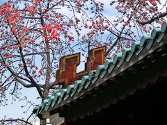 -东山湖公园