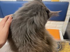 -平行世界·猫咖(首经贸店)