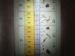 -烟台市博物馆