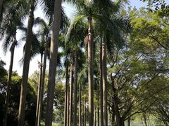 -云溪植物园