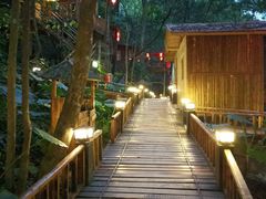 -天门沟九州驿站树上汤泉
