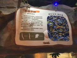 -奇幻萌宠部落(映月湖环宇城店)