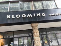 -云朵上的鱼(莘庄店)
