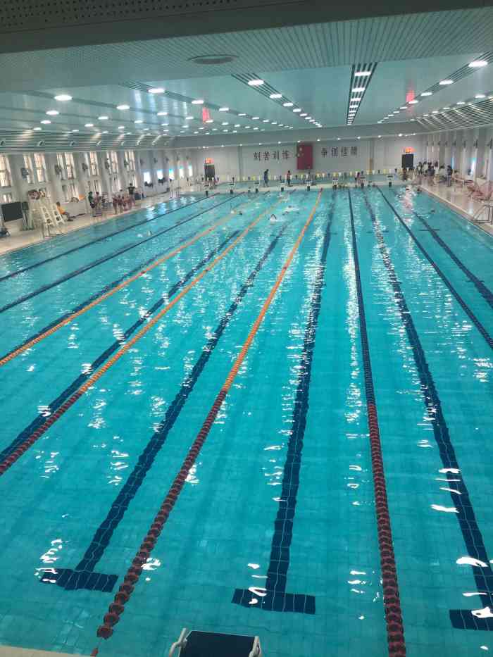 复康路游泳馆-"上个星期去了,因为还不太会游泳,只能去小.