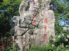 -鹅湖玫瑰文化园