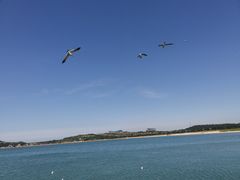 -海驴岛(荣成市)