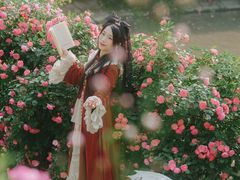 -鹅湖玫瑰文化园