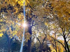 -元大都城垣遗址公园