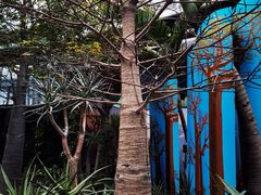 -北京植物园-展览温室