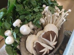 菌蔬合盘-烹然四季椰子鸡火锅(团结湖总店)