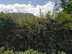 -太阳湾风景区