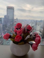 -久匠·纹眉半永久野生眉