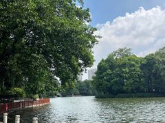 -荔湾湖公园