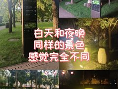 -唐城墙遗址公园