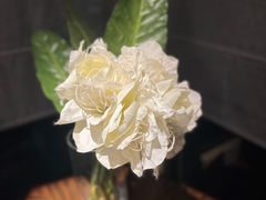 -苏浙汇(肇嘉浜路总店)