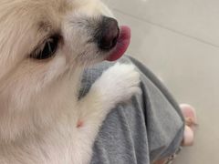 -艾贝尔宠物诊疗