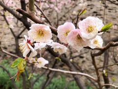 -北京明城墙遗址公园