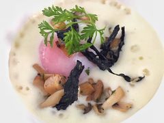 -蝶舍·MAISON PAPILLON