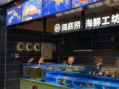 -海底捞火锅(长宁路龙之梦店)