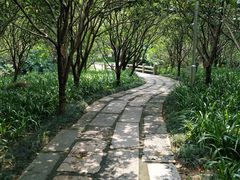 -名树园