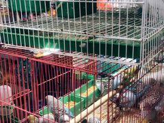 -三旗百汇商品城