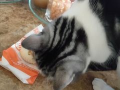 -北京稻香村(天桥乐汇百货商场店)