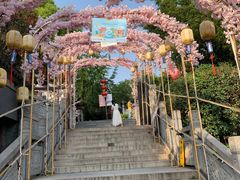 -秦淮小吃城(夫子庙店)