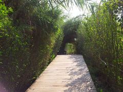 湿地公园-溱湖国家湿地公园