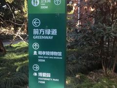 -南京十朝历史文化园-停车场