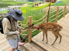 -青藏高原野生动物园