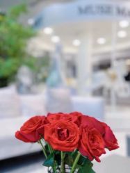 -MuseMarry婚纱(前海嘉里中心店)