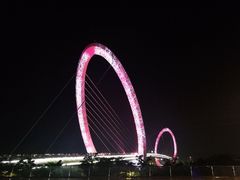 -南京眼步行桥