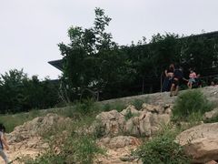 -望湖烤鱼