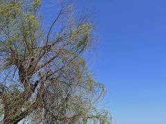 -东钱湖旅游度假区