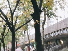 -庆丰包子铺(潘家园店)