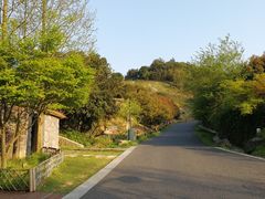 -莫干山郡安里度假酒店-桃尖中餐厅