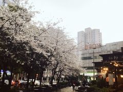 -玛格萝妮比萨屋(四平店)