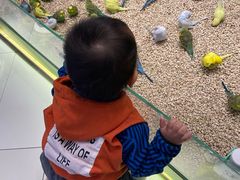 -鑫嘉汇购物中心