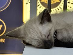 -万达广场(太原街店)