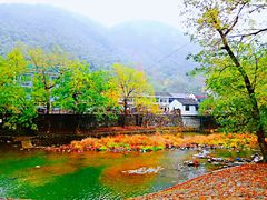 -鹿亭中村