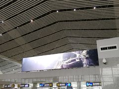 -张家界荷花国际机场航站楼-国内出发