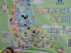 -合肥野生动物园