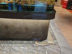 -阿伟海鲜楼·福建菜(延寿店)