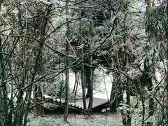 -武陵山森林公园